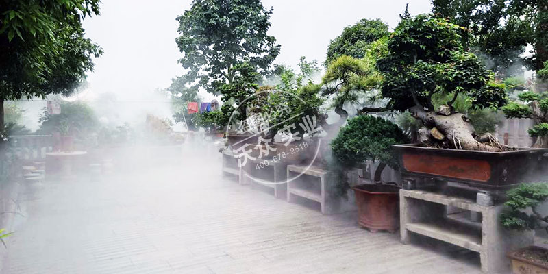 汉中余家大院花园雾森造景
