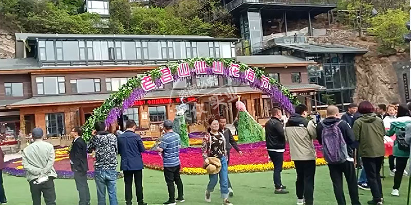 老君山花廊雾森造景项目